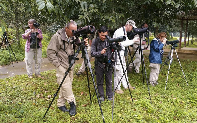 Clients Reviews & Testimonials about Vietnam Birding Tours, Vietnam Birdwatching Tours, Vietnam Bird Photography Tours by VietBird - Best local birding company.