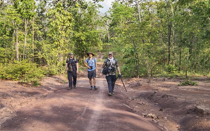 Clients Reviews & Testimonials about Vietnam Birding Tours, Vietnam Birdwatching Tours, Vietnam Bird Photography Tours by VietBird - Best local birding company.
