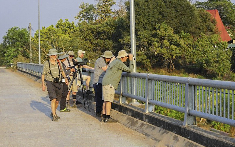 Clients Reviews & Testimonials about Vietnam Birding Tours, Vietnam Birdwatching Tours, Vietnam Bird Photography Tours by VietBird - Best local birding company.